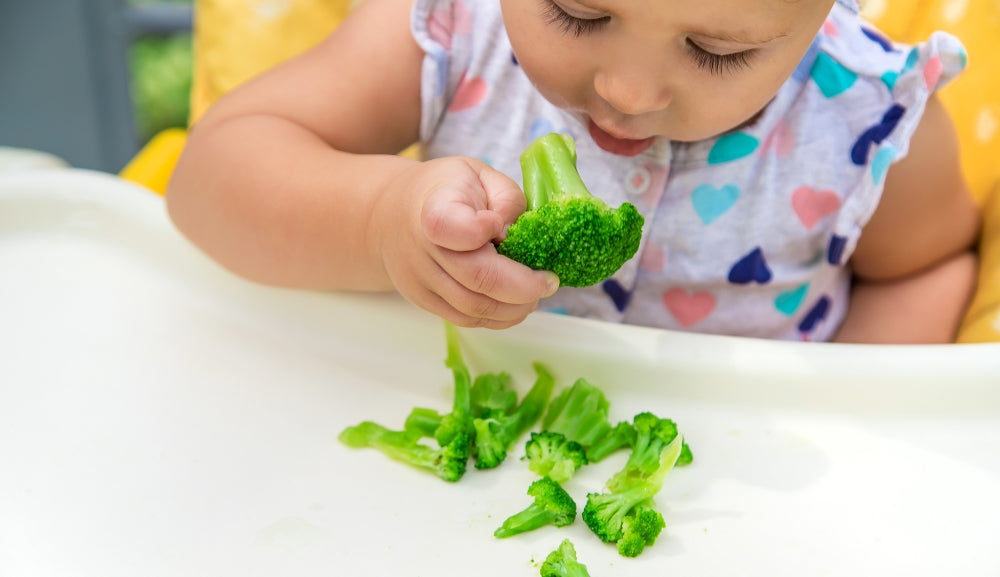 How to Teach Babies to Self-Feed