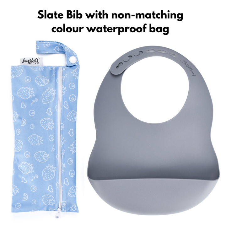 Slate Silicone Bib with non-matching Waterproof Bag